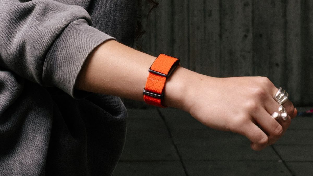 POLAR LOOP FITNESS BAND